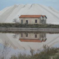 Descrizione immagine non disponibile