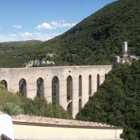 Descrizione immagine non disponibile