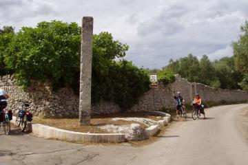 Descrizione immagine non disponibile