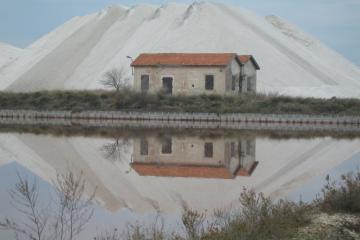 Descrizione immagine non disponibile