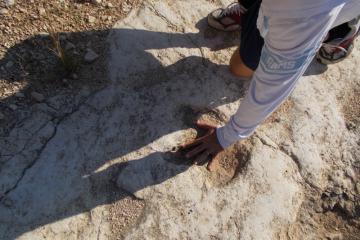 Descrizione immagine non disponibile