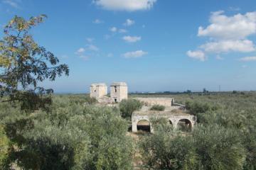 Descrizione immagine non disponibile