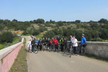 Descrizione immagine non disponibile